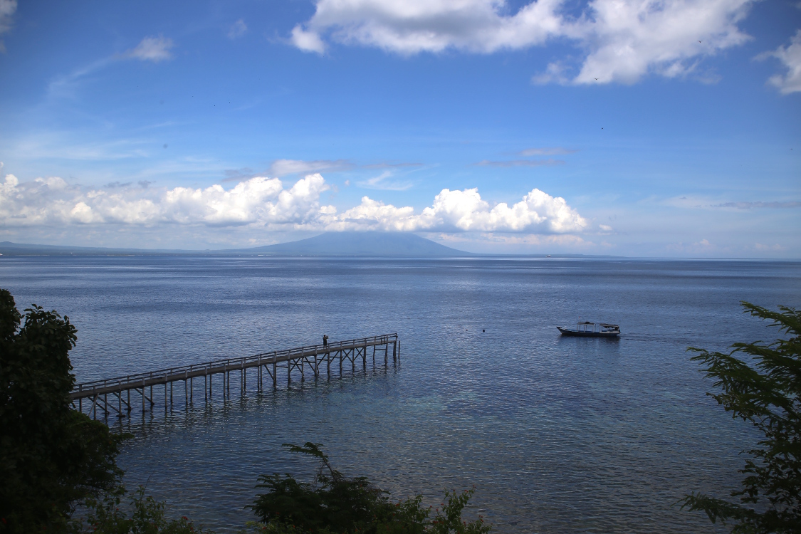 Bali. Ile Menjangan.
Au loin, un volcan de Java ...