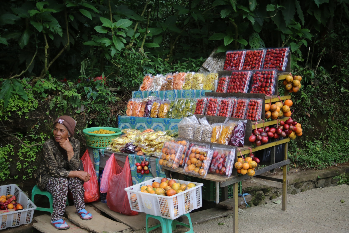 Bali. De Pemuteran Ã  Ubud.
On a traversÃ© l'Ã®le du nord au sud, Ã  travers les montagnes.
Et dans ce coin, ils cultivent les fraises !
Cela tombe bien, Romain en avait envie depuis longtemps. Idem pour les quenelles, mais on ne sait pas si on va trouver ;-)