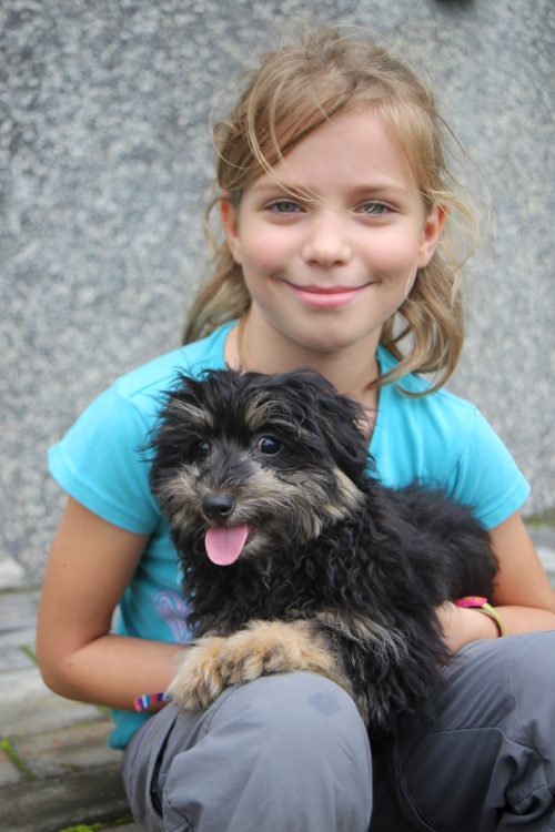 Java. Gunung Merapi.
Christian, le propriÃ©taire de notre guest-house, avait deux petits chiens adorables.
