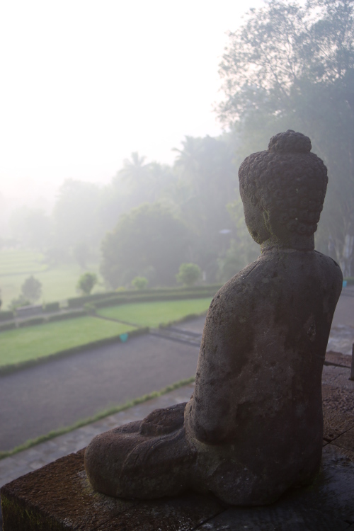 Java. Borobudur.
DÃ©couverte du temple de Borobudur, tÃ´t le matin pour Ã©viter foule et chaleur. Et nous n'avons pas Ã©tÃ© dÃ©Ã§u !
Ces bouddhas faisant face Ã  la nature (on parle ici du 