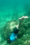 Bali. Ile Menjangan.
Romain pratique avec joie le snorkeling, à la recherche du poisson-clown. Et il est vrai que l'on a eu du mal à le trouver !