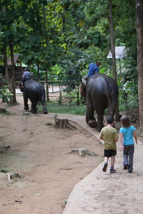 Luang Prabang.
Chutes d'eau de Tat Sae.
