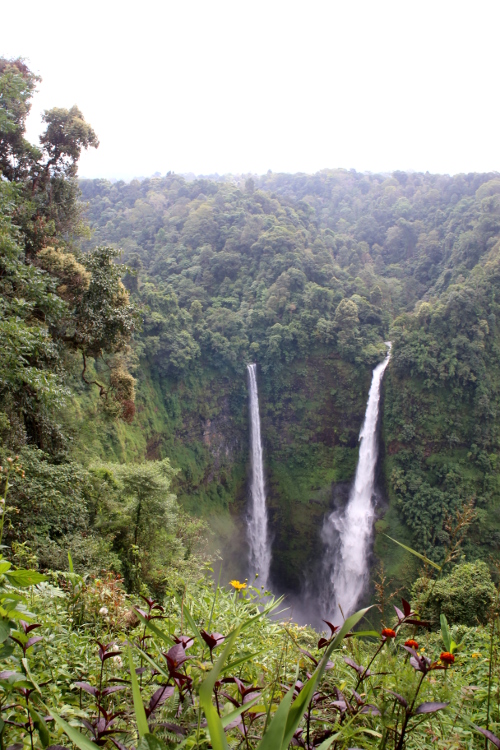 Plateau des Bolovens.
Chutes de Tad Fan, les plus hautes du Laos.