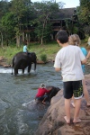 Plateau des Bolovens. Village de Tad Lo.
Bain des éléphants.