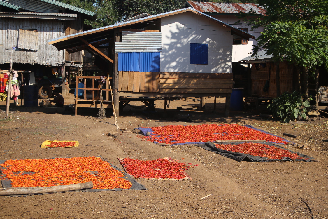Plateau des Bolovens.
Pendant la balade, on passe dans un petit village Katou isolÃ© (pas de route d'accÃ¨s, seulement de petits sentiers...).