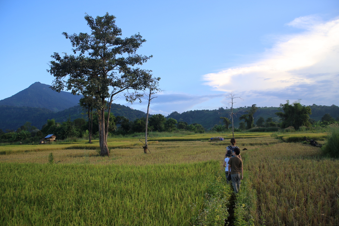 Plateau des Bolovens.