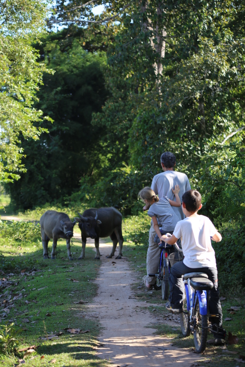 RÃ©gion des 4000 Ã®les. Ile de Don Det.