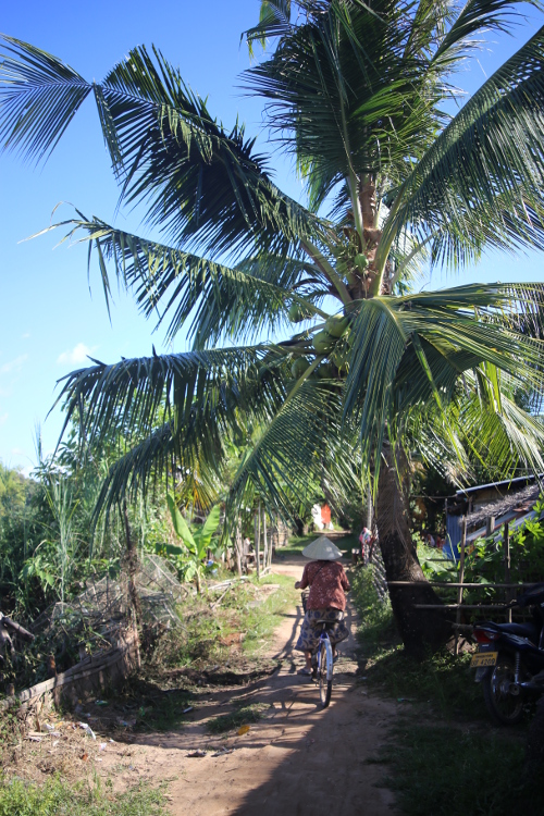 RÃ©gion des 4000 Ã®les. Ile de Don Khone.