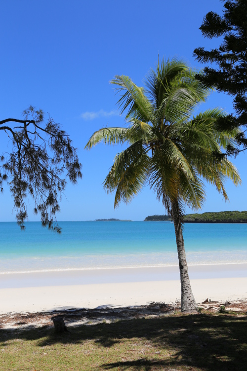 Ile des Pins.
Baie paradisiaque de Kuto.