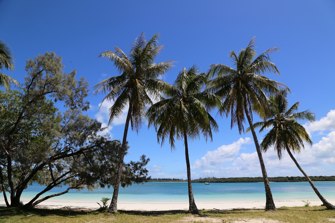 Ile des Pins.
Baie de Kuto.