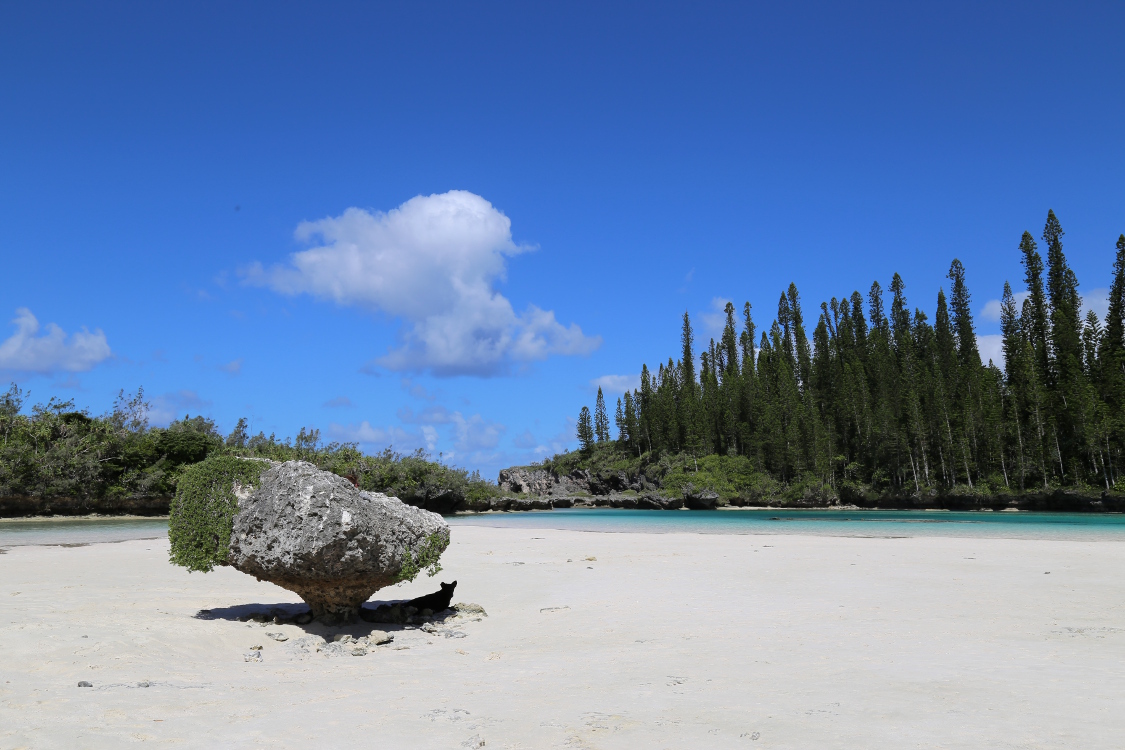 Ile des Pins.
Piscine naturelle.
