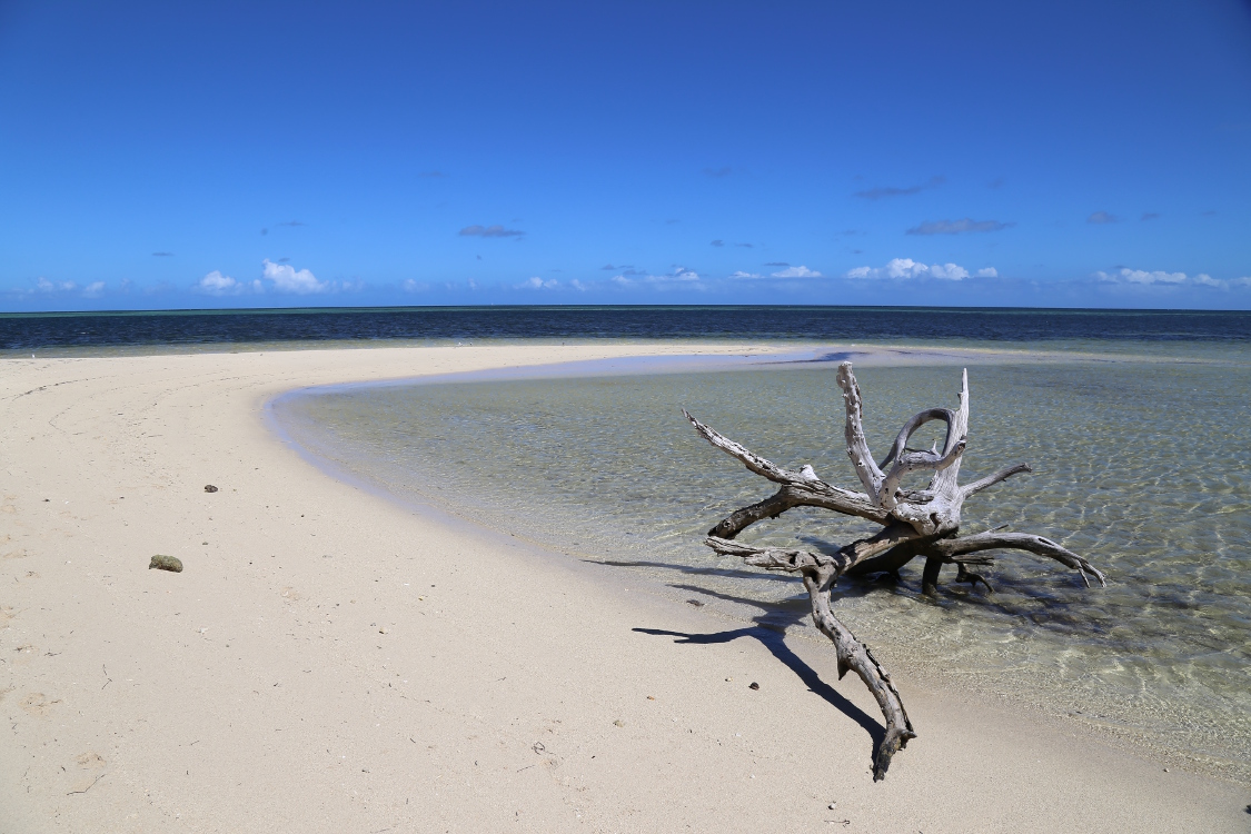 Ilot MaÃ®tre Ã  NoumÃ©a.
Objectif de la journÃ©e : nager avec des tortues !
Mais l'Ã®le a aussi un certain charme ...