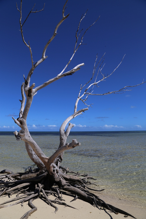 Ilot MaÃ®tre Ã  NoumÃ©a.