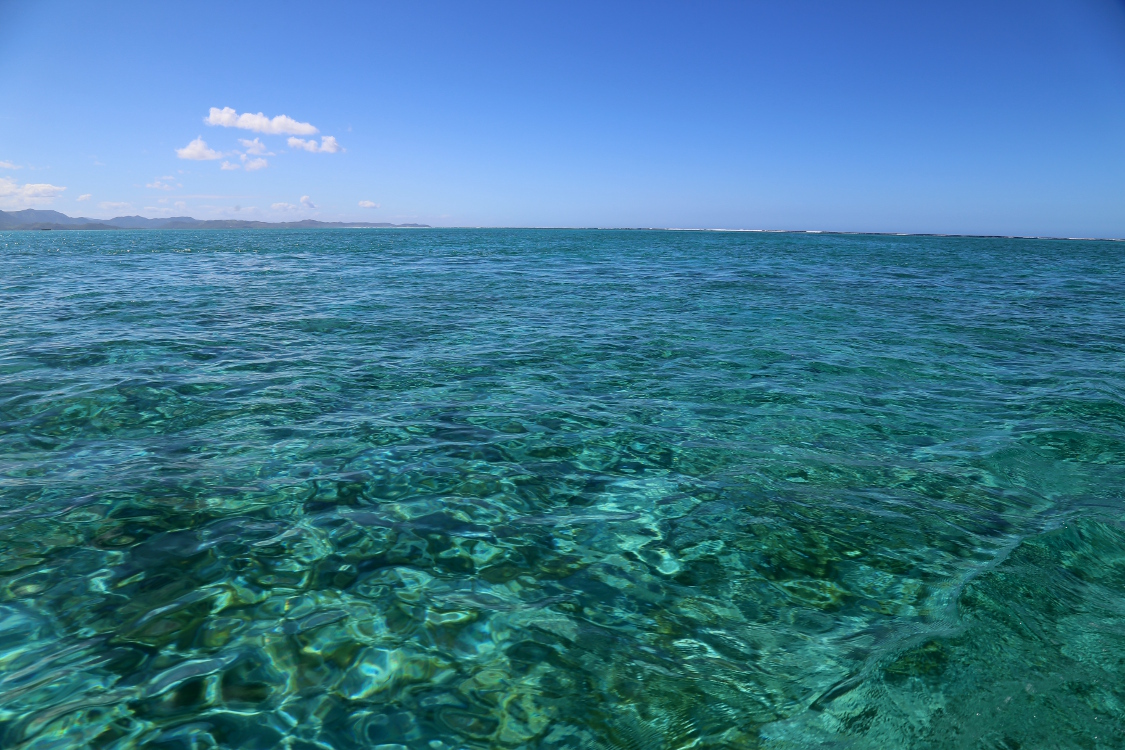 PoÃ©.
Quand on vous dit que l'eau est bleu-vert ...