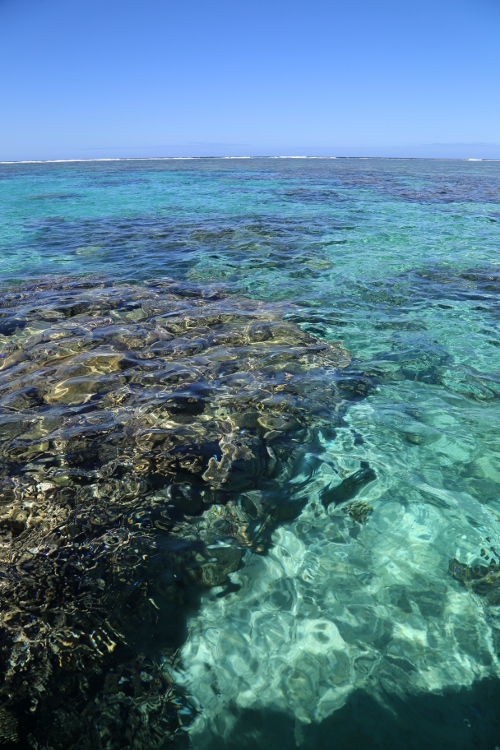 PoÃ©.
La zone du rÃ©cif offre une eau cristalline, parfaite pour l'exploration en snorkelling.