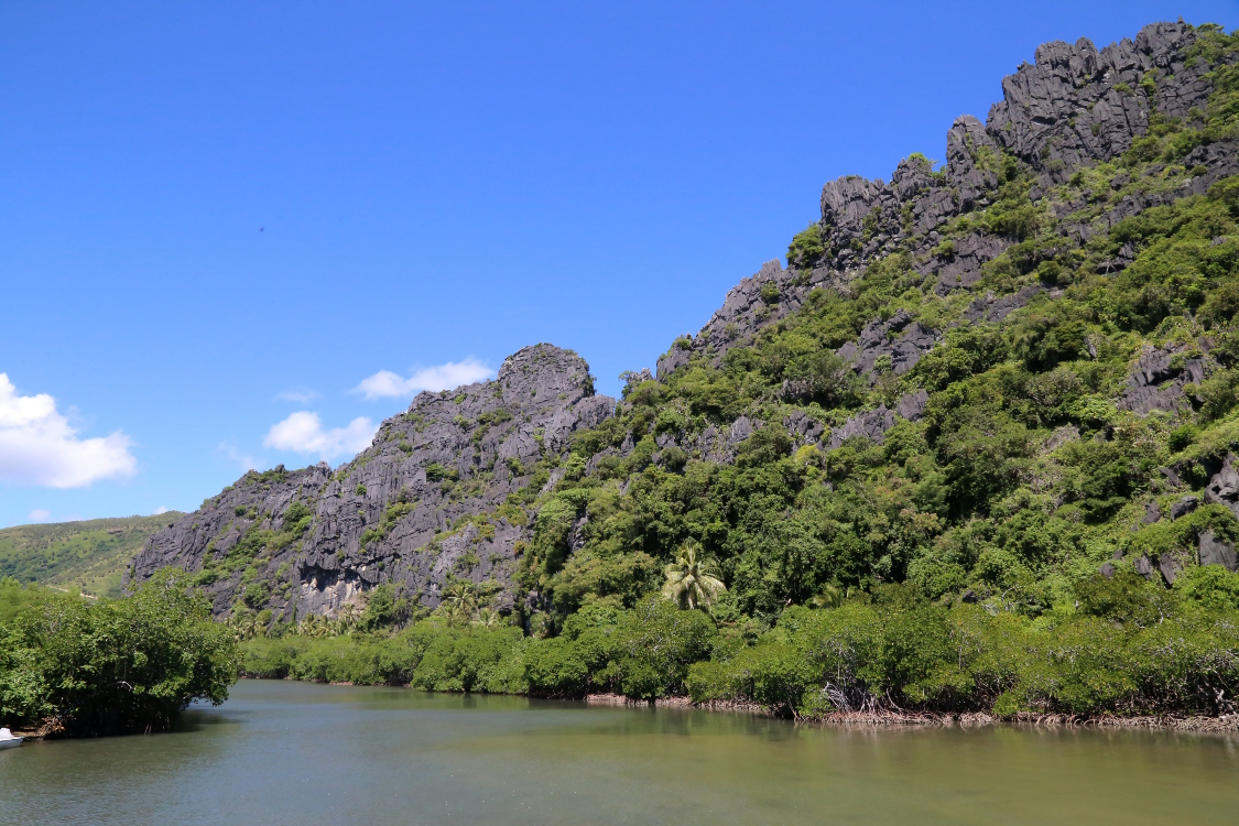 Nouvelle CalÃ©donie.
Roches de LindÃ©ralique.