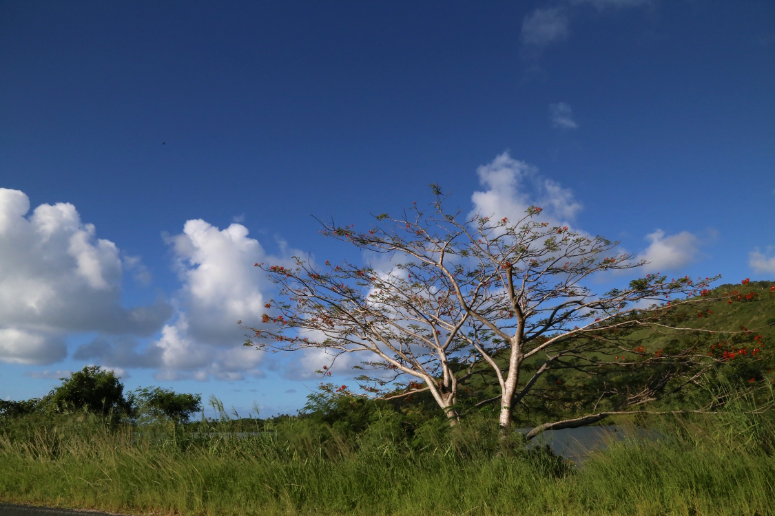 Entre HienghÃ¨ne et PoindimiÃ©.