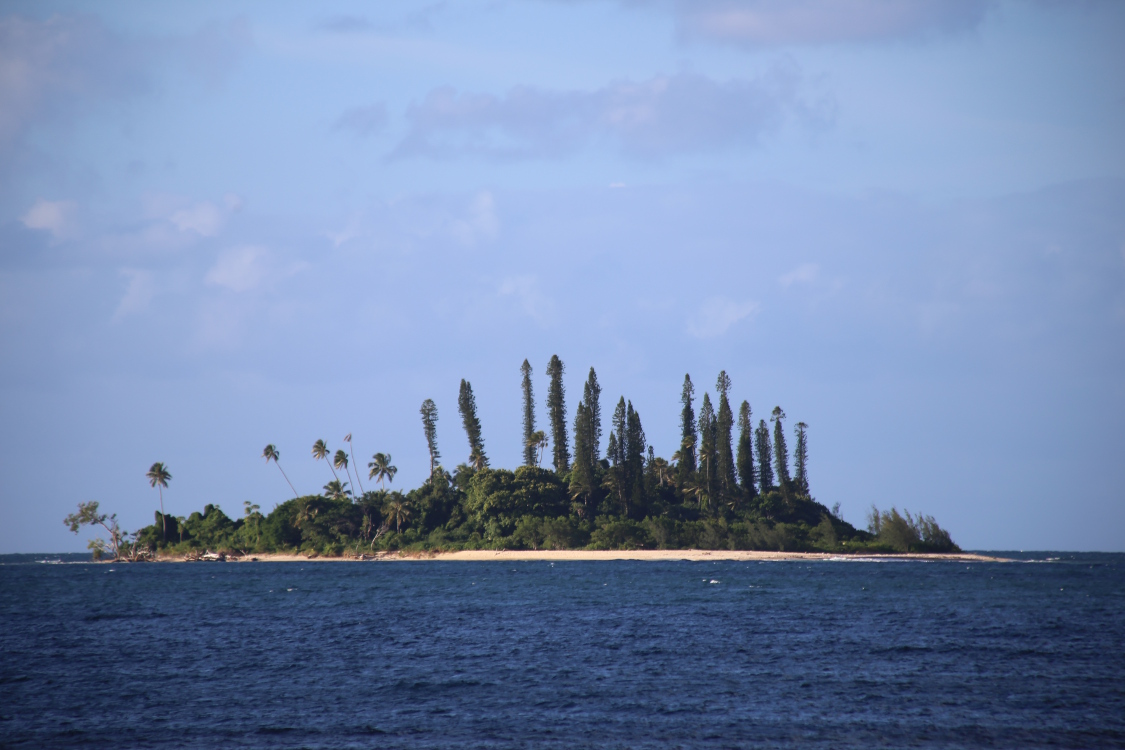 PoindimiÃ©.
IlÃ´t Tibarama, aux allures de l'Ã®le de Robinson.
Certains le considÃ¨rent comme le plus bel ilot de Nouvelle CalÃ©donie. En tout cas, c'est le seul endroit oÃ¹ l'on peut observer des murÃ¨nes ruban en snorkelling.