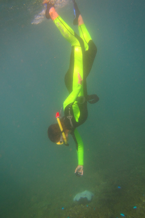PoindimiÃ©.
Oui, oui, c'est bien Fabienne !...