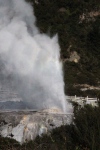 Rotorua.
Geyser du parc Te Puia.