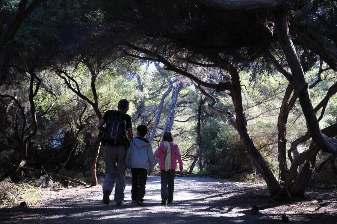 Sud de Rotorua.
Parc thermal de Wai-o-Tapu.