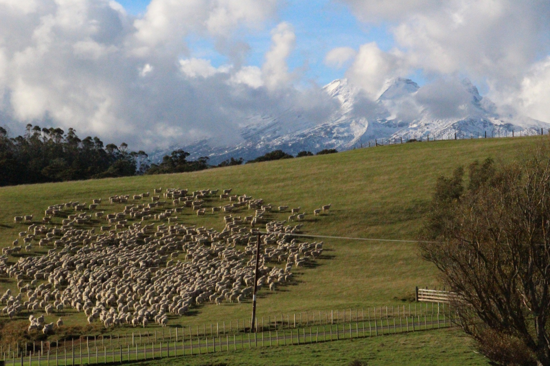 On the road, sous les cÃ®mes du Mordor.