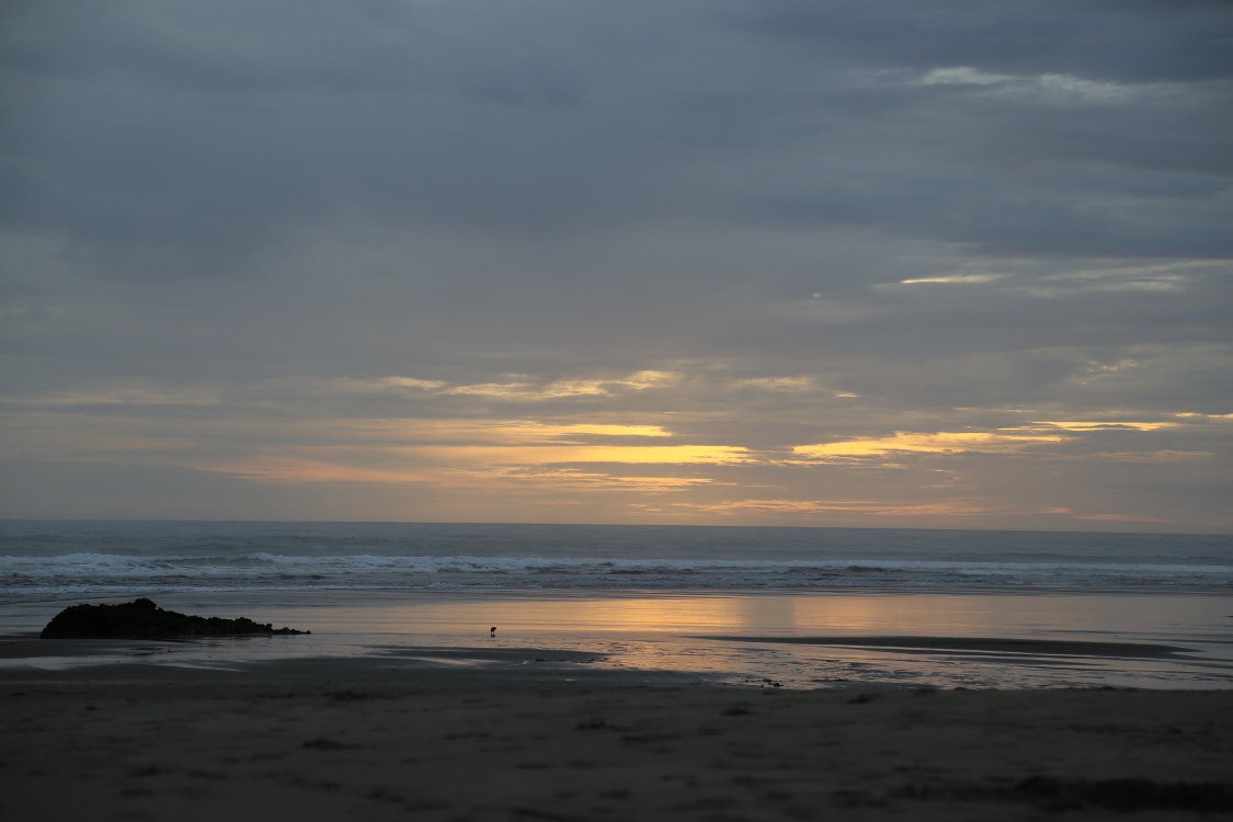 Piha beach.
PremiÃ¨re escale en arrivant en Nouvelle ZÃ©lande, la plage des surfeurs d'Auckland !
L'endroit est magnifique pour le coucher de soleil  avec son sable noir (certainement aussi le reste de la journÃ©e, mais on n'a pas vu !).
Pour la petite histoire, cette plage a servi de dÃ©cor au film 