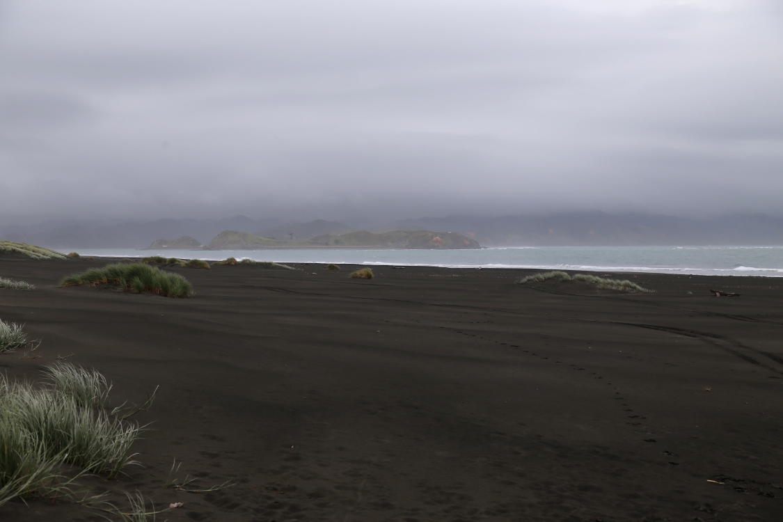 Kawhia.
Source d'eau chaude Te Puia.
A marÃ©e basse, il parait que l'on peut creuser des trous dans le sable et trouver de l'eau chaude.
Selon les locaux, il suffit de suivre l'odeur de souffre pour trouver le lieu. C'est parti pour la ruÃ©e vers l'eau chaude, aidÃ©s de notre pelle ...
