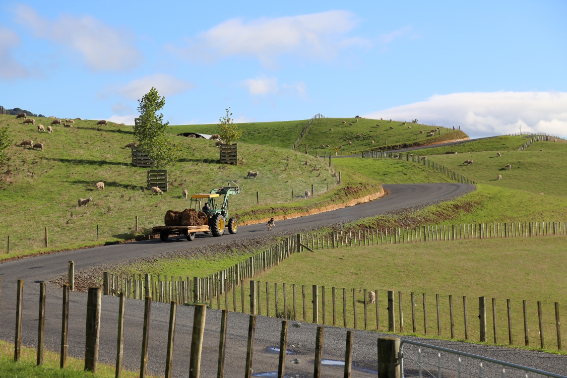 RÃ©gion de Matamata.
Nous sommes allÃ©s dÃ©couvrir le Hobbiton, le lieu de tournage de la ComtÃ© pour les trilogies 