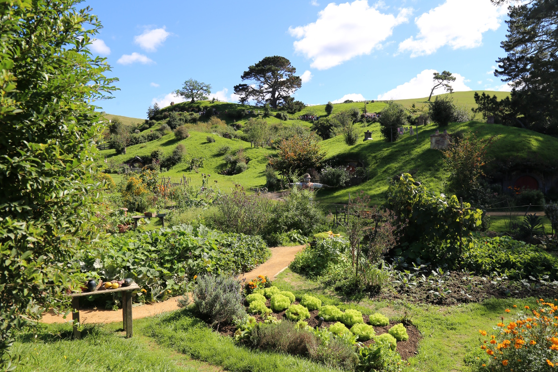 Le Hobbiton.
On arrive sur le site par le mÃªme chemin que Gandalf ... et la vision sur le 