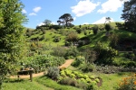 Le Hobbiton.
On arrive sur le site par le même chemin que Gandalf ... et la vision sur le