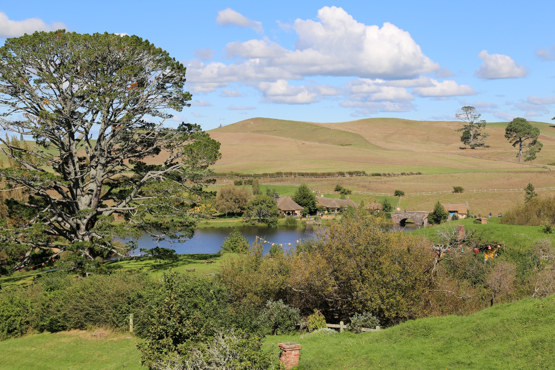Le Hobbiton.
Vue depuis la maison de Bilbon Sacquet.
L'arbre imposant est l'arbre des fÃªtes, sous lequel Bilbon disparait aprÃ¨s son discours dans le premier Ã©pisode du film.