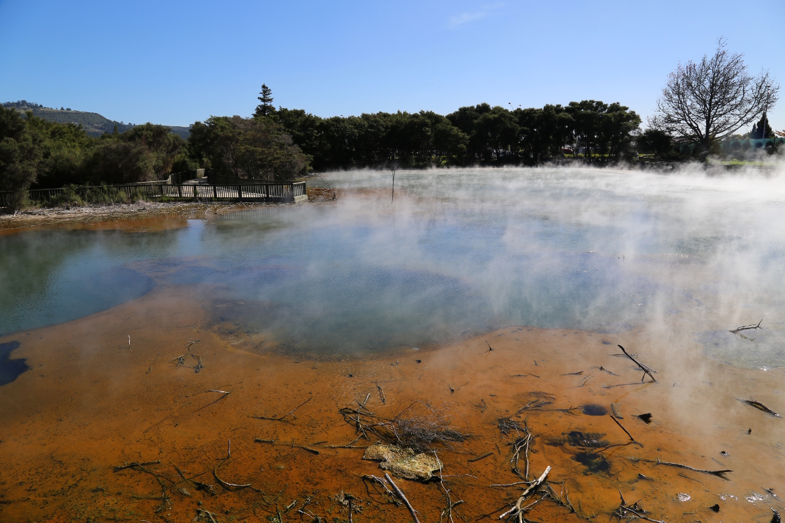 Rotorua.
Parc Kuirau.
Ce qui marque d'emblÃ©e les visiteurs que nous sommes, c'est cette odeur permanente de soufre qui plane dans les rues de la ville.
C'est effectivement une des zones gÃ©othermiques les plus actives de Nouvelle-ZÃ©lande.