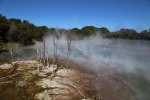 Rotorua.
Parc Kuirau.