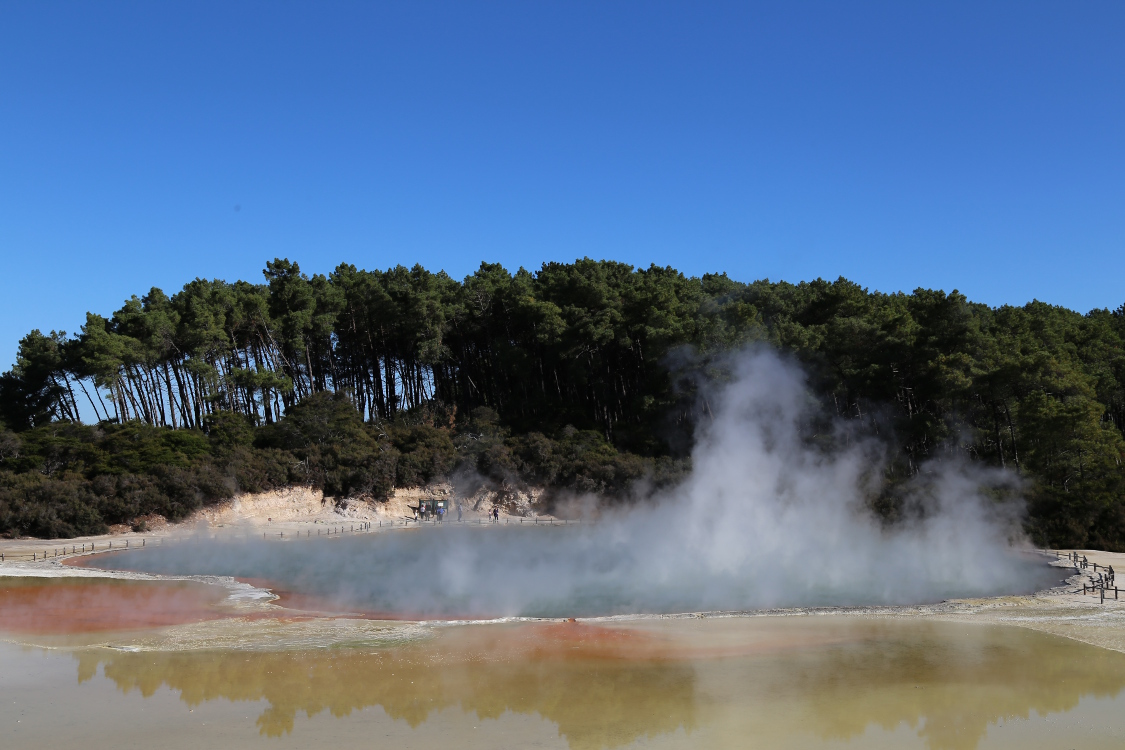Sud de Rotorua.
Parc thermal de Wai-o-Tapu.
La palette de l'artiste, et la piscine de Champagne.
Chaque zone de ce parc porte un petit nom plus ou moins bien trouvÃ© ...