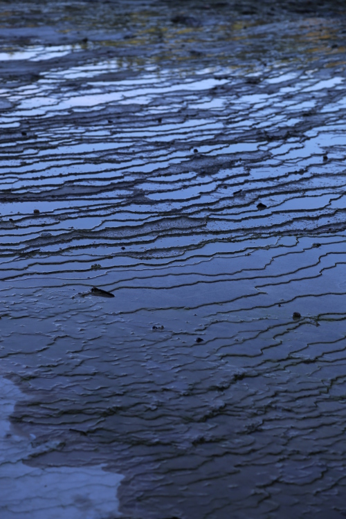 Sud de Rotorua.
Parc thermal de Wai-o-Tapu.
On dirait des riziÃ¨res vues du ciel ...
Mais c'est en fait une terasse de silice, qui se forme lentement quand la piscine de Champagne laisse couler de l'eau chargÃ©e de silicate de chaux.