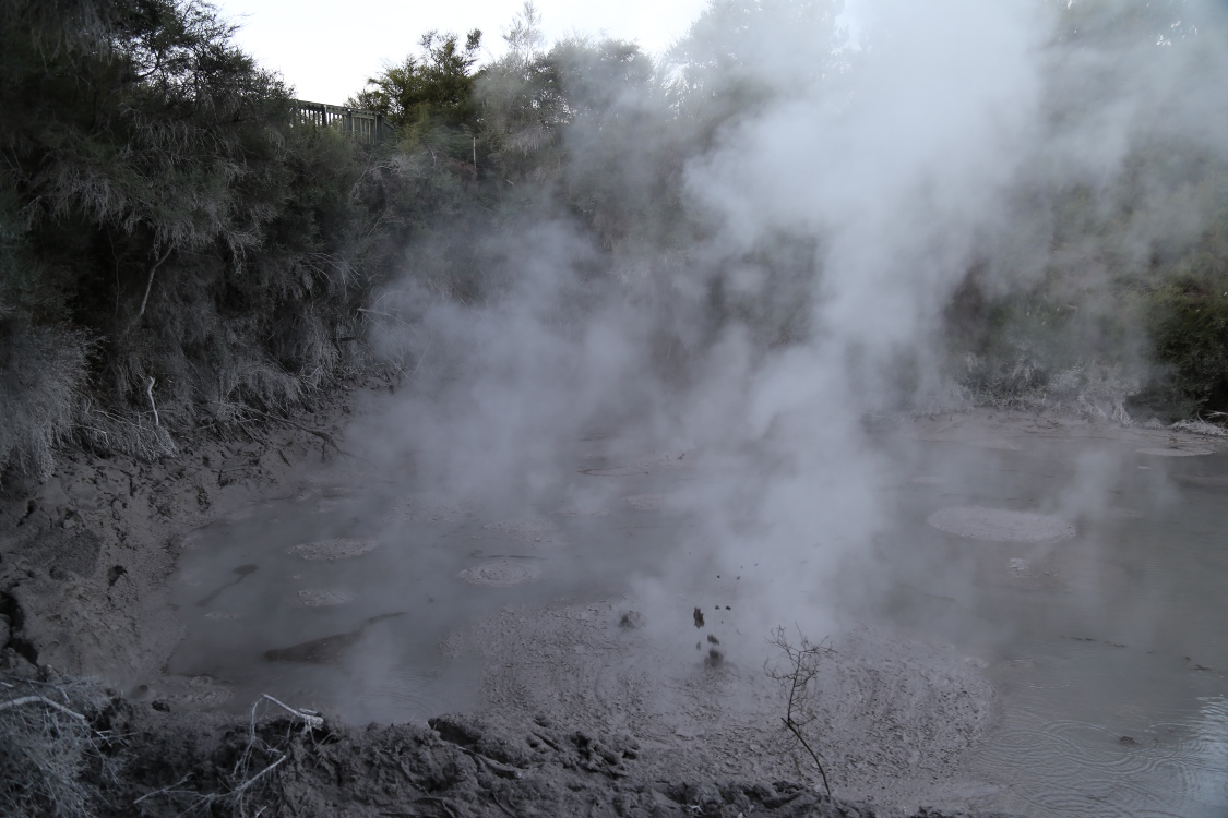Sud de Rotorua.
Piscine de boue.