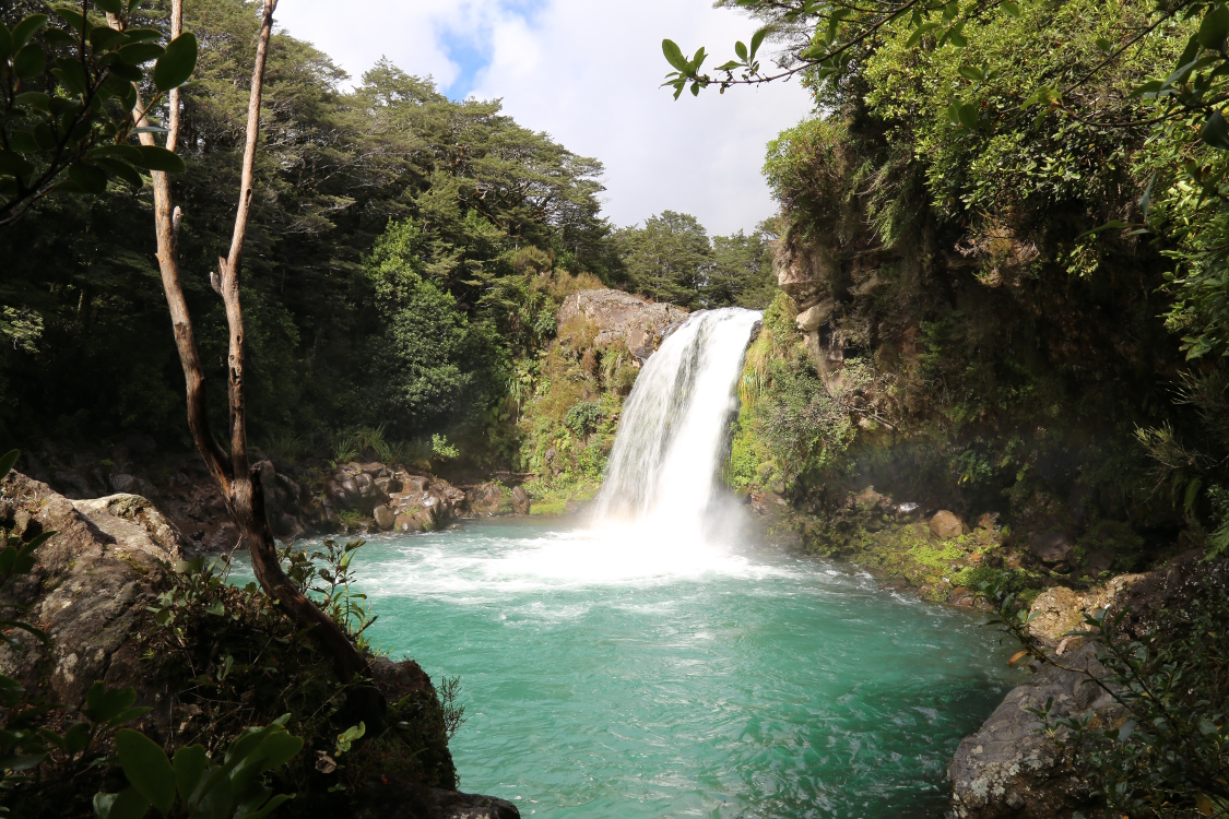 Cascades Tawhai.
Ã‡a donne vraiment envie de se baigner, mais pas de sources d'eau chaude dans le coin ...