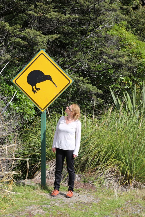 On the road.Attention aux kiwis !!!