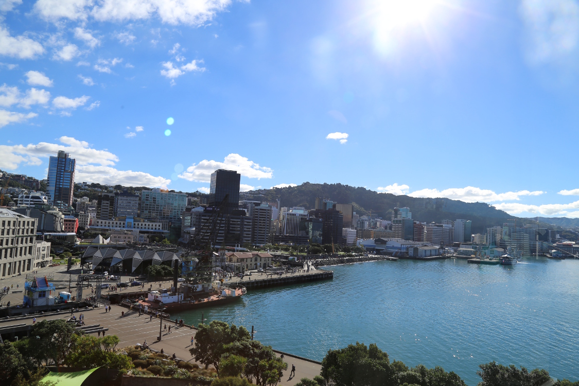 Wellington, vue depuis le musÃ©e Te Papa.
C'est un trÃ¨s beau musÃ©e prÃ©sentant de maniÃ¨re trÃ¨s didactique la terre, la tectonique des plaques, la simulation d'un tremblement de terre dans une maison, etc.
On a vu Ã©galement une prÃ©sentation de la faune de Nouvelle-ZÃ©lande (ce qui nous a aider à connaitre les noms de certains animaux).
Puis, une partie est dÃ©diÃ©e Ã  la culture Maorie, mais celle-ci Ã©tait partiellement fermÃ©e, certainement dÃ» aux prÃ©parations des cÃ©rÃ©monies de l'Anzac day le 25 avril (100Ã¨me anniversaire !).