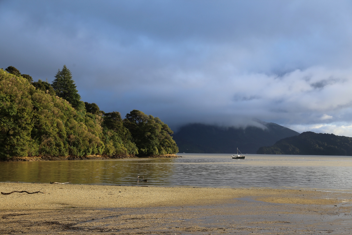 Marlborough Sounds, sur l'Ã®le du Sud.
C'est dans cette rÃ©gion, Ã  Picton, que le bateau qui vient de l'Ã®le de Nord nous dÃ©pose.
L'endroit est trÃ¨s sauvage, et nous avons pu dormir, seuls au monde, dans une des baies.
