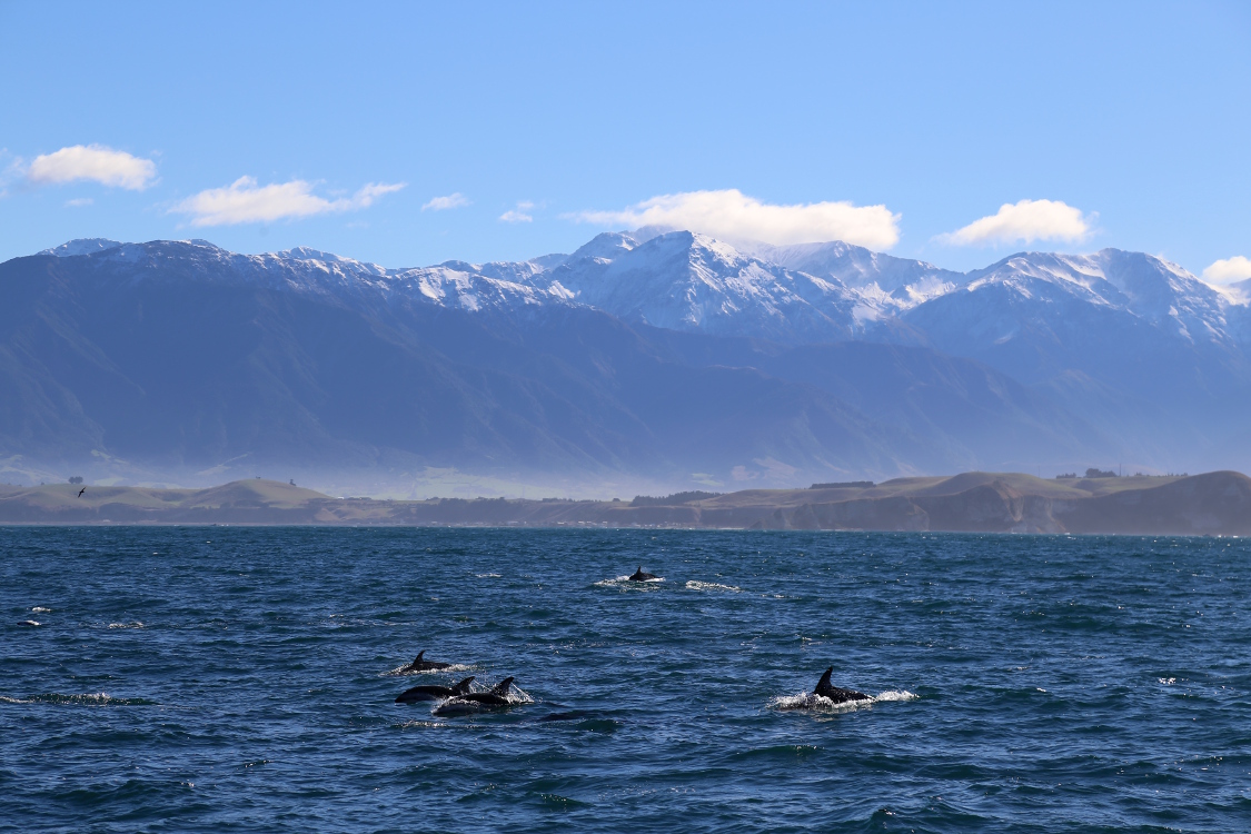 Kaikoura.
No comment ...