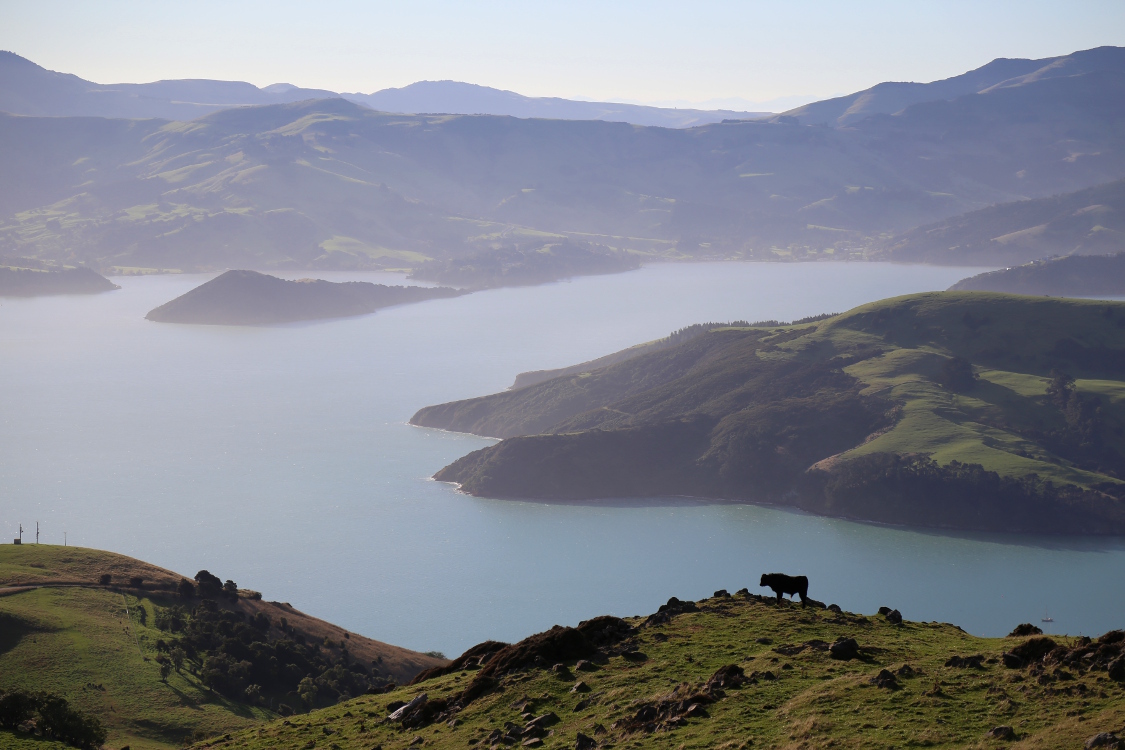 PÃ©ninsule de Banks.