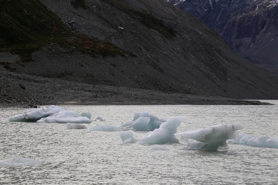 RÃ©gion du mont Cook.
Blocs de glaces du glacier Hooker.