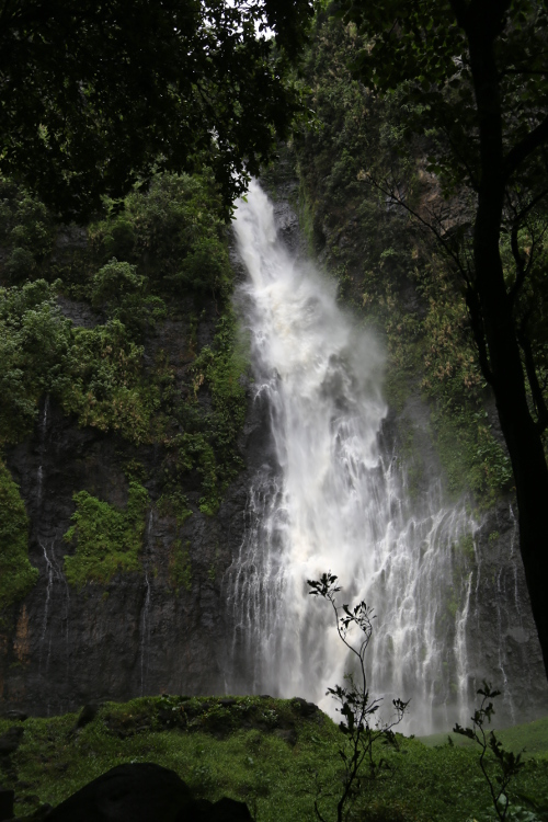 Tahiti.
On dÃ©bute la visite de Tahiti sous la pluie avec les cascades de Faaurumai, qui Ã©taient difficiles Ã  approcher en raison du ciel trÃ¨s tourmentÃ© ...