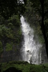 Tahiti.
On débute la visite de Tahiti sous la pluie avec les cascades de Faaurumai, qui étaient difficiles à approcher en raison du ciel très tourmenté ...