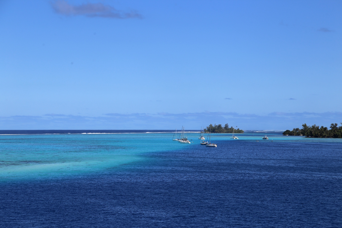 Moorea.
Et le lagon a l'air prometteur ...