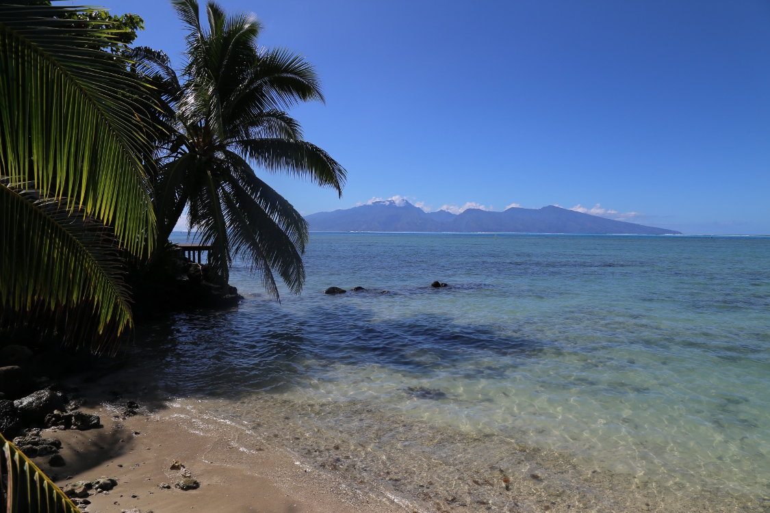 Moorea.
Vue sur l'Ã®le de Tahiti depuis le fond du jardin ...