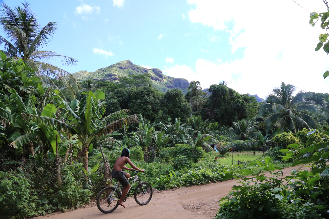 Moorea.
VallÃ©e luxuriante derriÃ¨re la coconut house, point de dÃ©part de superbes randonnÃ©es.