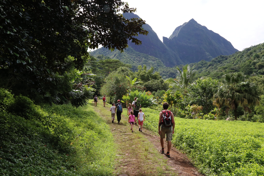 Moorea.
La randonnÃ©e du jour : le col des 3 cocotiers !
Cela permet d'atteindre un point de vue sur les 2 cotÃ©s de l'Ã®le, et de traverser une magnifique forÃªt.
Le groupe s'est Ã©toffÃ© avec Cyril, Margaux et le petit Antoine, des amis en vacances de la famille Coconut.